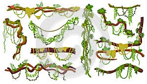 Liana thicket. Wood branches with creepers, hanging jungle liana rope ivy vines wire forest plant game asset, leaf