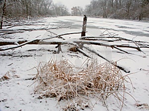 Lib Conservation Area Winter Scene