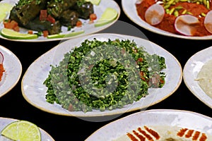 Libanese arabic food mezze, includes hummus, muhammara, moutabal, taboule and vine leaves