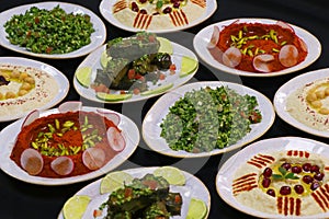 Libanese food mezze, includes hummus, muhammara, moutabal, taboule and vine leaves