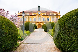 Liben Castle in Rococo style in spring with magnolia tree
