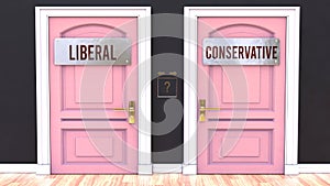 Liberal or Conservative - making a choice