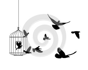 Liberation symbol. Birds flying out of cage