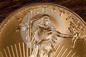 Liberity (Word) on United States walking Liberty Gold Coin