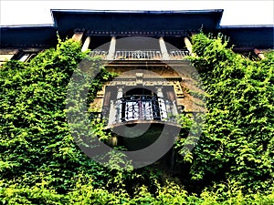 Liberty style palace in Turin, Piedmont region, Italy. Ivy, nature, architecture, art and history