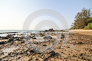 Libong Island, Koh Libong, Trang, Thailand