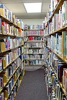 Library books, all shelved and catalogued