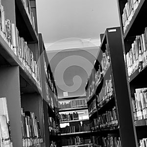 library in the city photo