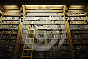 Biblioteca scala pieno da vecchio la Bibbia 