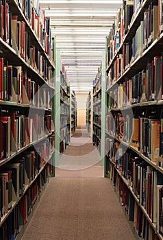 Biblioteca chimeneas 