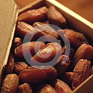 Libyan dates box