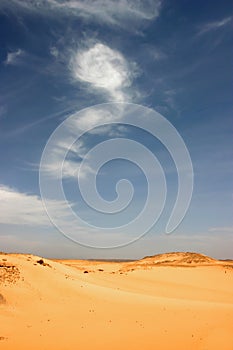 Libyan desert.