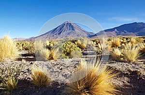 Licancabur and Juriques in the Atacama desert, Chile