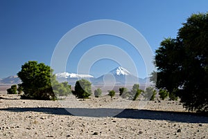 Licancabur Volcano, Andes