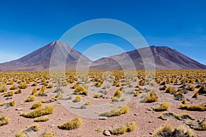 Licancabur volcano in Atacama desert, Chile