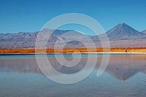 Licancabur volcano and lagoon in chile