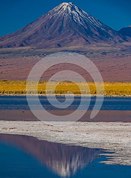 Licancabur volcano peak reflection in Cejar salt lagoon