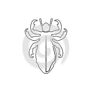 lice icon. Element of insect for mobile concept and web apps icon. Thin line icon for website design and development, app