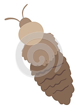 Lice, illustration, vector