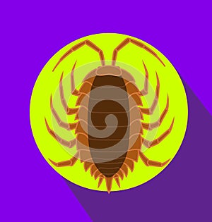 Lice Insect Vector Illustration