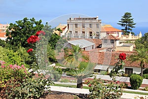 Victoria garden at la Orotava town at Tenerife, Canary Islands, Spain photo