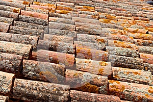 Lichen covered Spanish terracotta roof tiles.