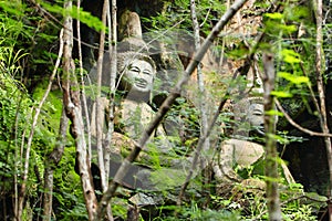 Lichen growing on Buddha