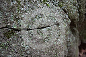 Lichen growing on Cracked Natural Rock Boulder