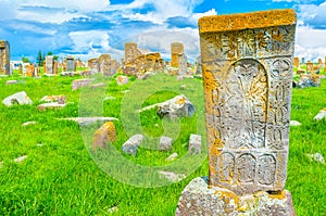 The lichen on khachkar