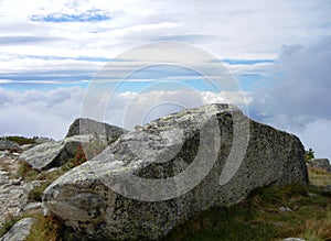 Lichen on stone and white clouds