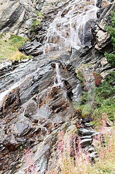 Lichens and grasses of various types, colors and shades on brown karst granite rocks and flowing foamy waters of alpine waterfall