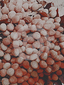 Lichi fruit  photo