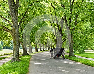 The Lichtentaler Allee in the spa park of Baden Baden _  Baden Baden, Baden Wuerttemberg, Germany