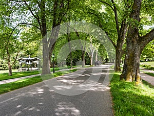 The Lichtentaler Allee in the spa park of Baden Baden _  Baden Baden, Baden Wuerttemberg, Germany