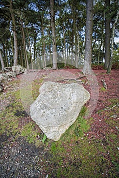 lickey hills country park