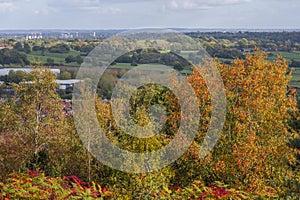 lickey hills country park