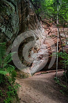 Licu Langu Sandstone Cliffs, Lode