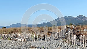 Lido de la marana sand dunes in Corsica coast