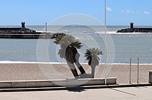 Lido di Ostia - Scorcio della spiaggia libera del porto