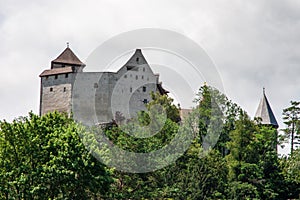 Liechtenstein Castle