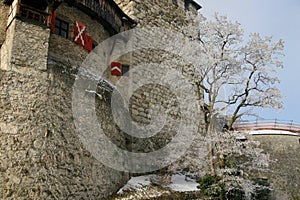 Liechtenstein Castle