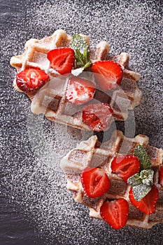 Liege waffles with fresh strawberries, powdered sugar closeup on