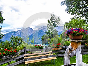 Lienz Dolomites -Alpine garden with a view on tall mountains