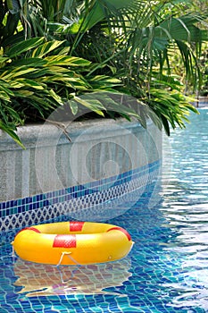 Life buoy floating in swimming pool