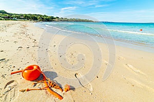 Life buoy in Rena Bianca beach in Costa Smeralda