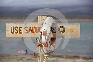 Life buoy and sign dangerous to swim, Lake of Wind, Argentina