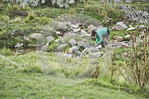 Daily life in a camp: woman washing pots in a stream