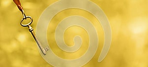 Life coaching banner in gold photo