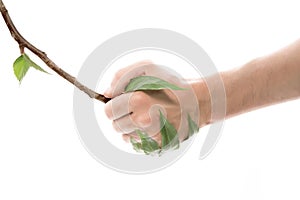 Life Concept. Hand shaking look like hand twigs. Isolate on white background