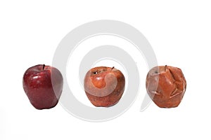 the life cycle of apples.Rotten apple and fresh apple on a white background